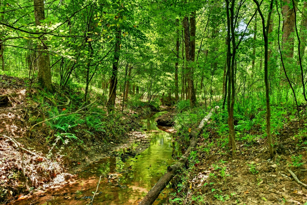 Briar Patch Farm Photo