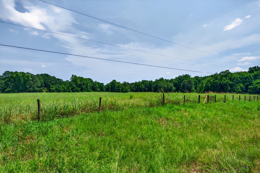 Briar Patch Farm Photo