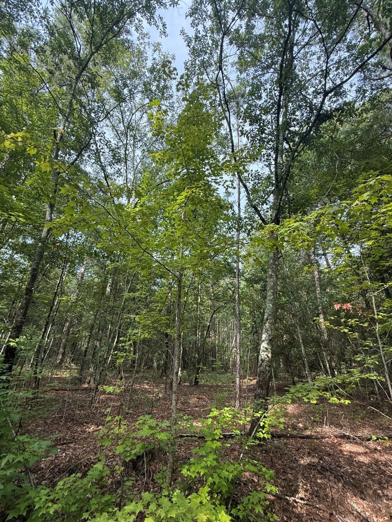 Liberty Church Road Retreat Photo
