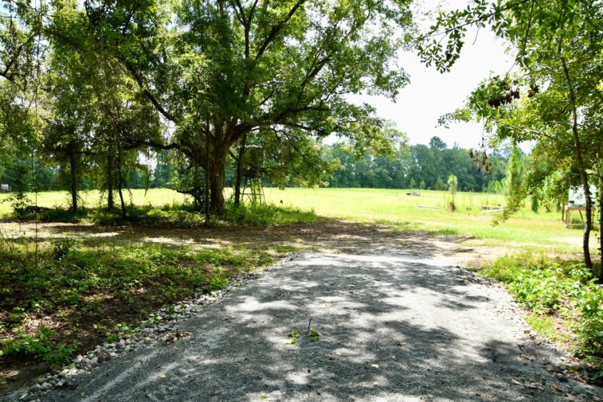 Long Piney Preserve Photo