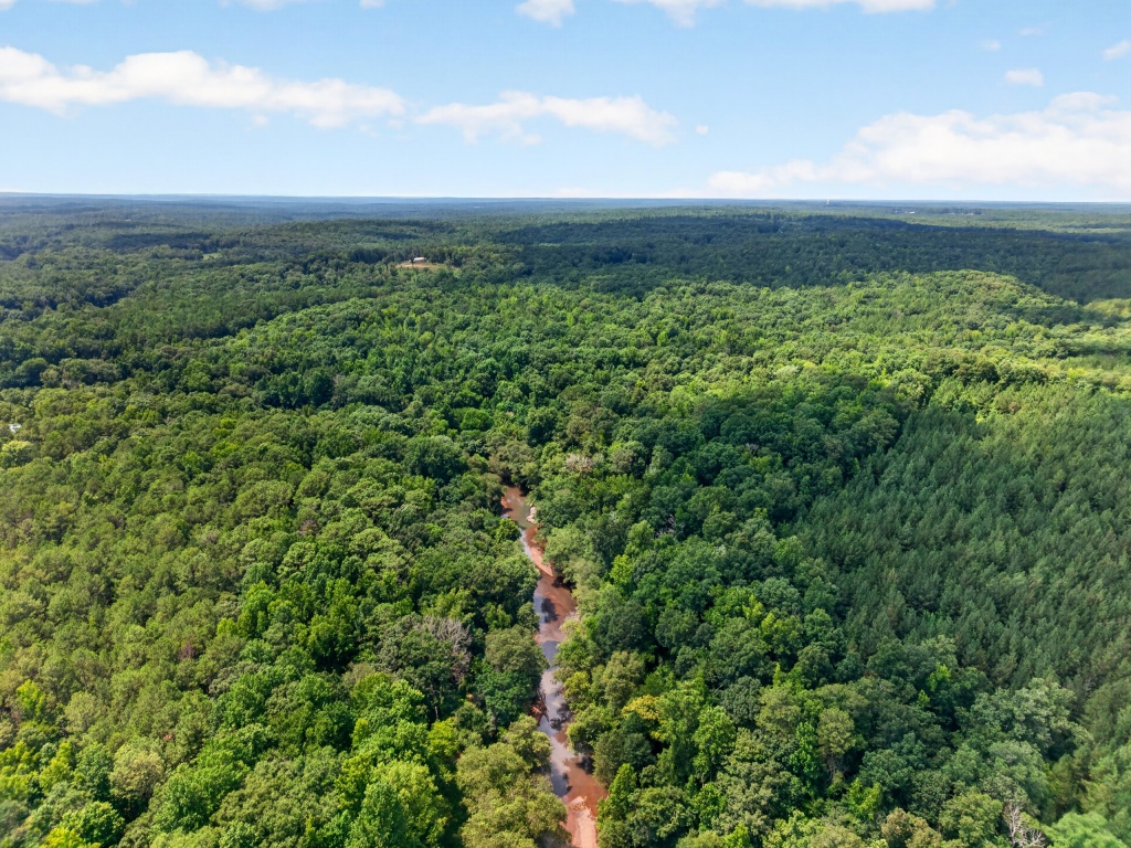 Towaliga River Tract Photo