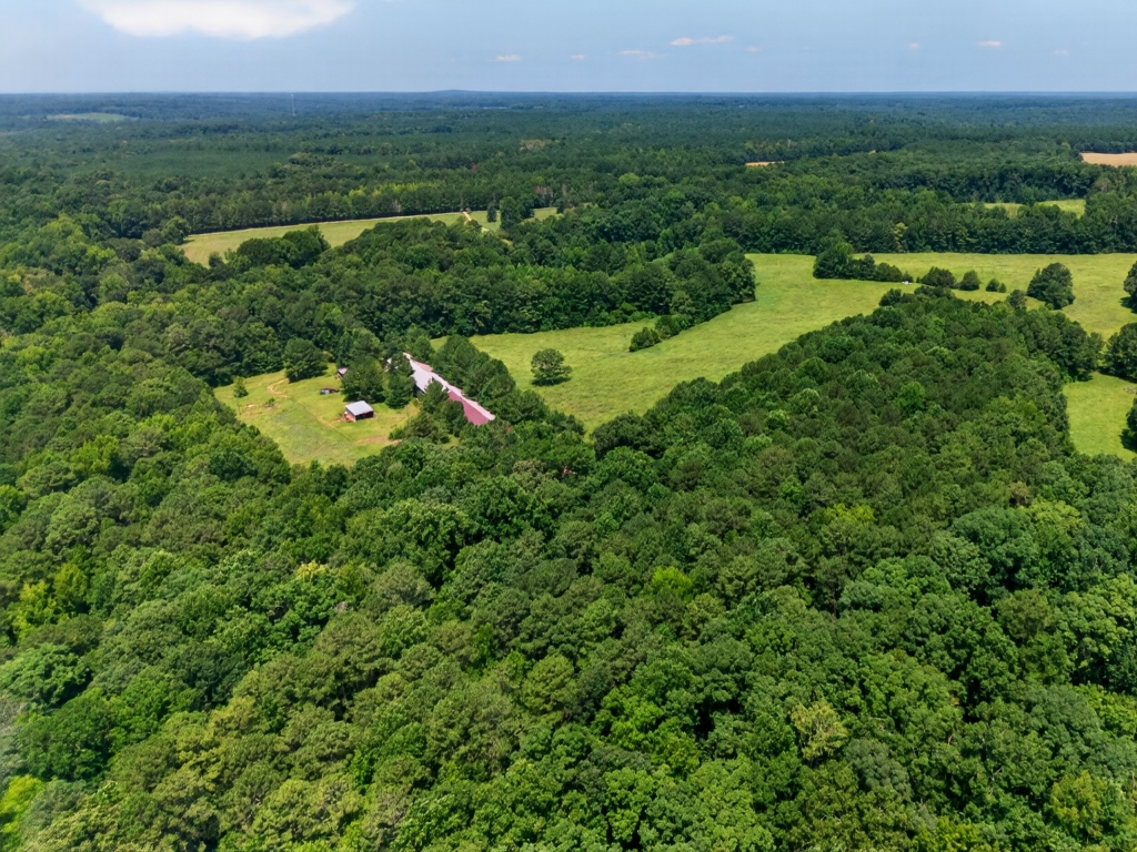 Briar Patch Farm Photo