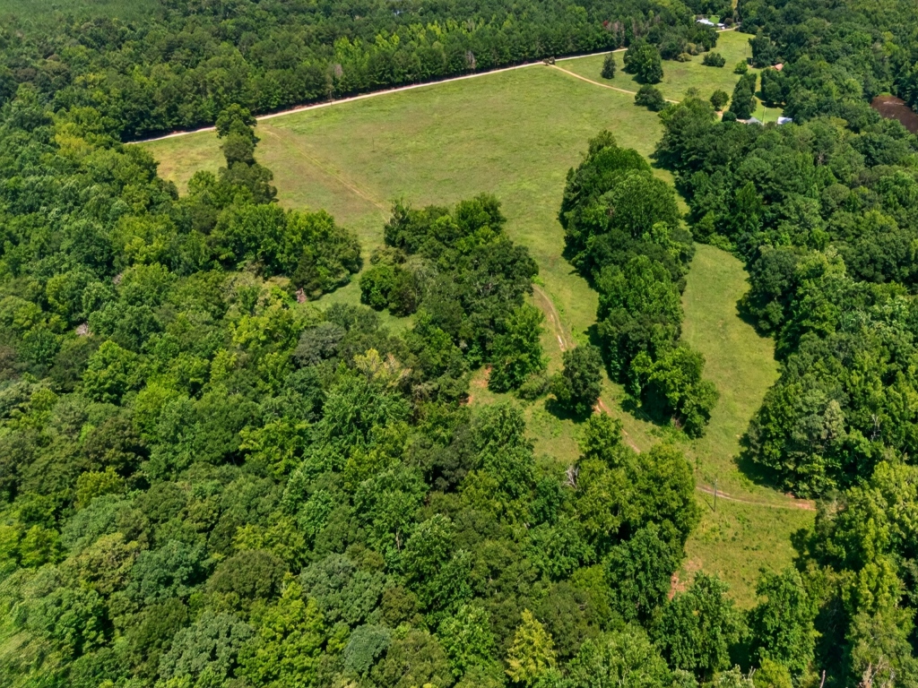 Briar Patch Farm Photo