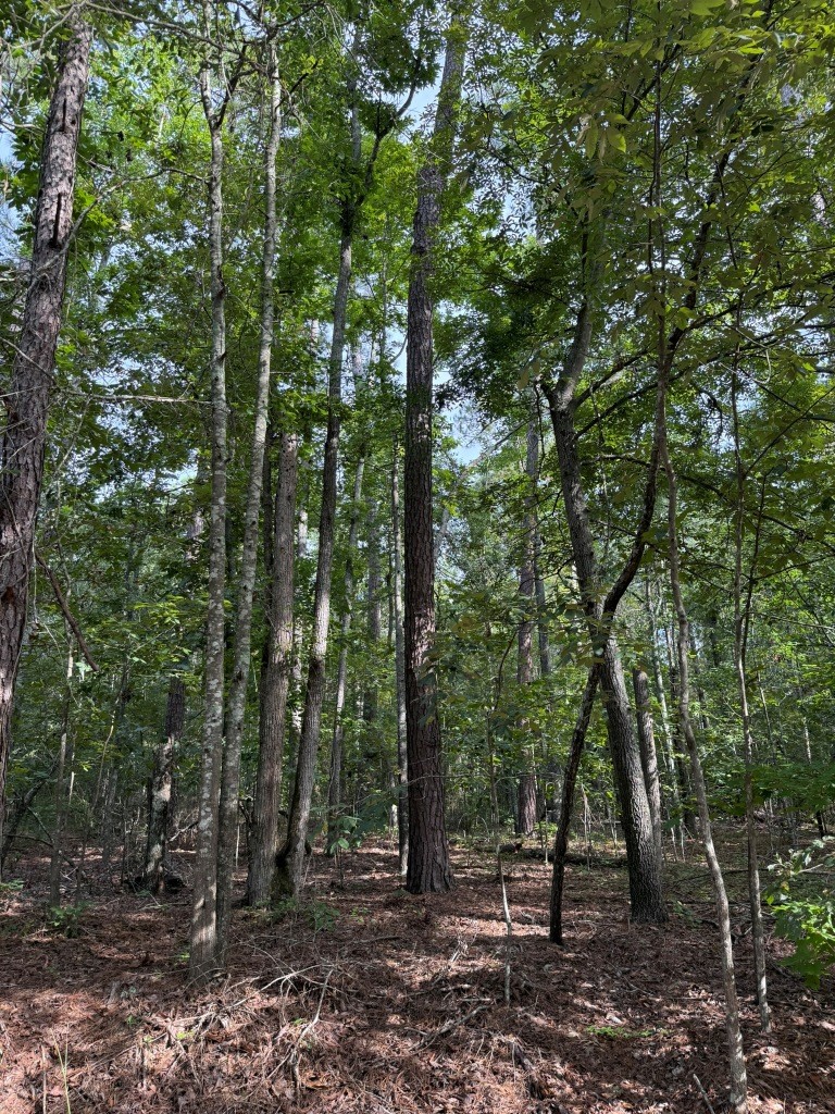 Liberty Church Road Retreat Photo