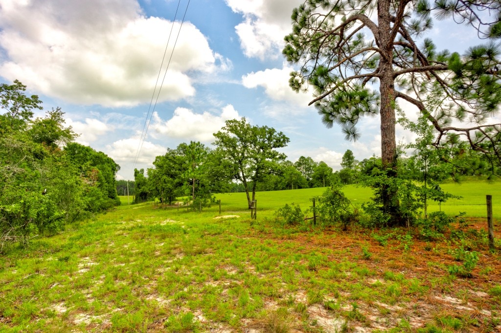 Big Oak Homeplace Photo