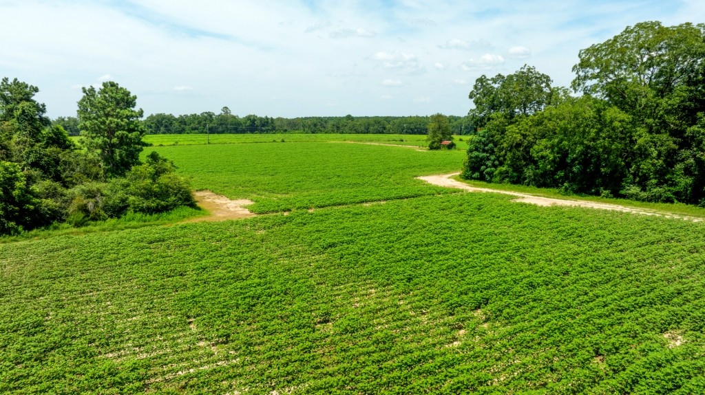 Reedy Creek Homeplace Photo
