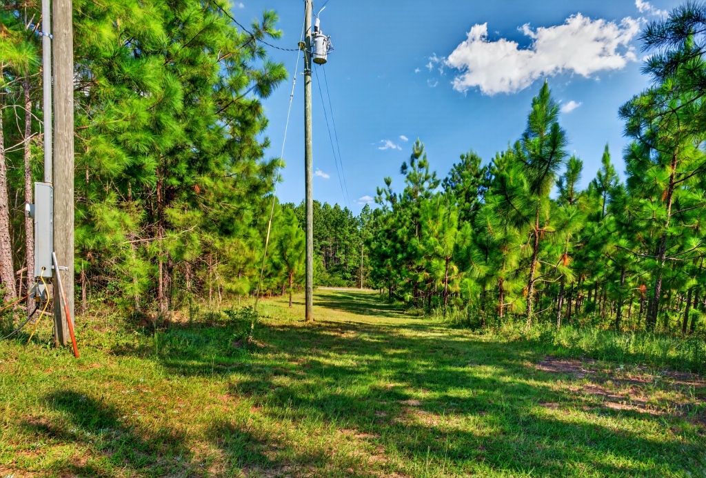 Fall Line Longleaf & Home Photo