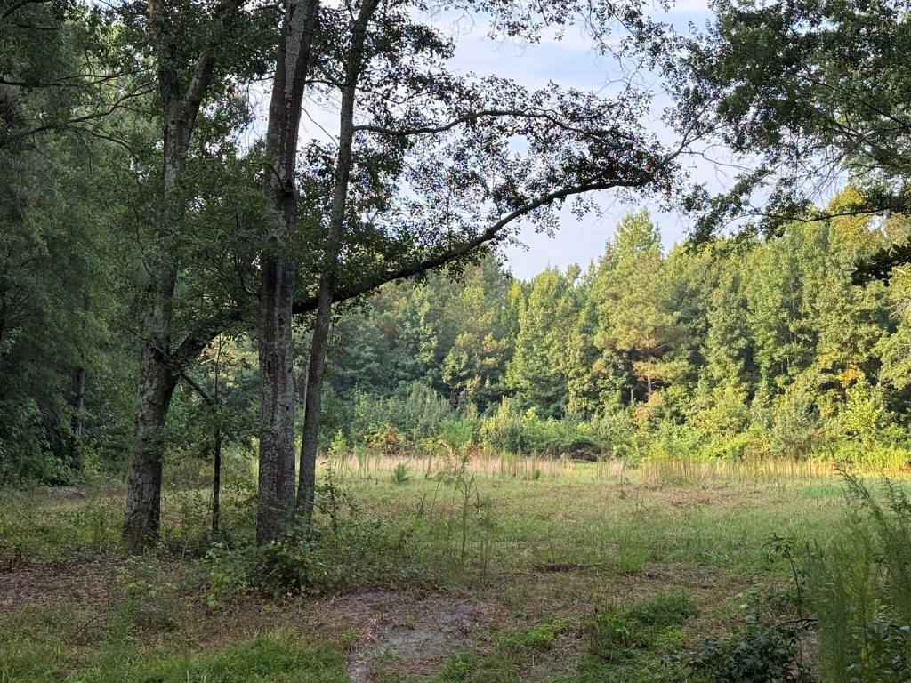Rocky Creek Preserve Photo