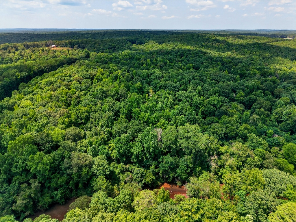 Towaliga River Tract Photo