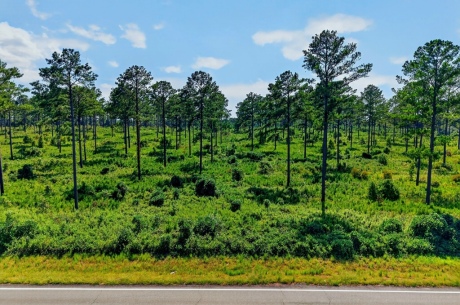 Marion Pines Tract A