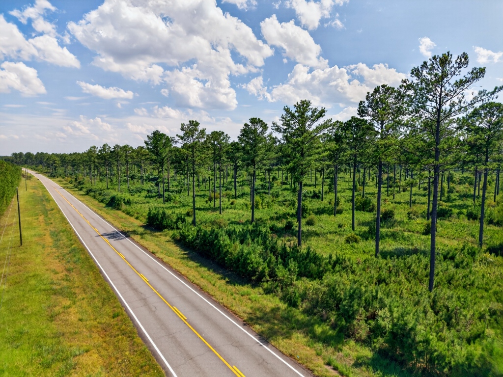 Marion Pines Tract A Photo