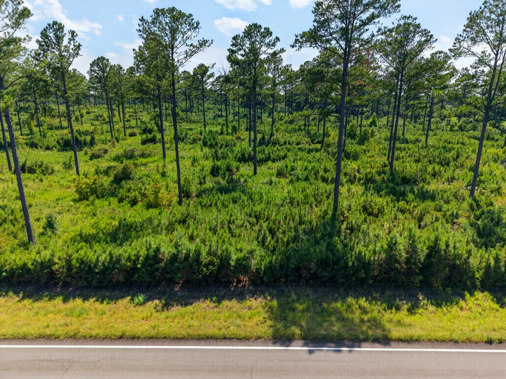 Marion Pines Tract A Photo