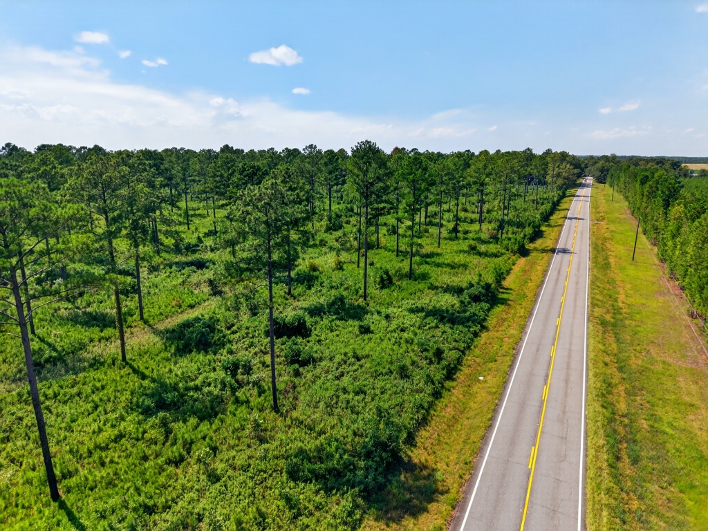 Marion Pines Tract A Photo