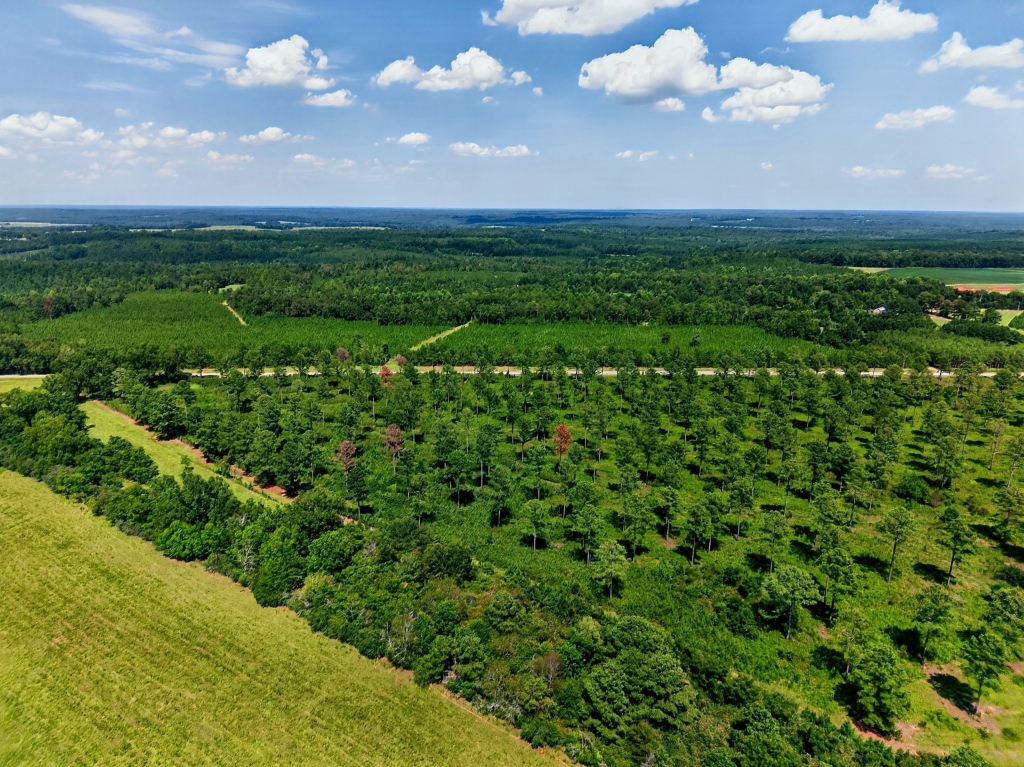 Marion Pines Tract B Photo