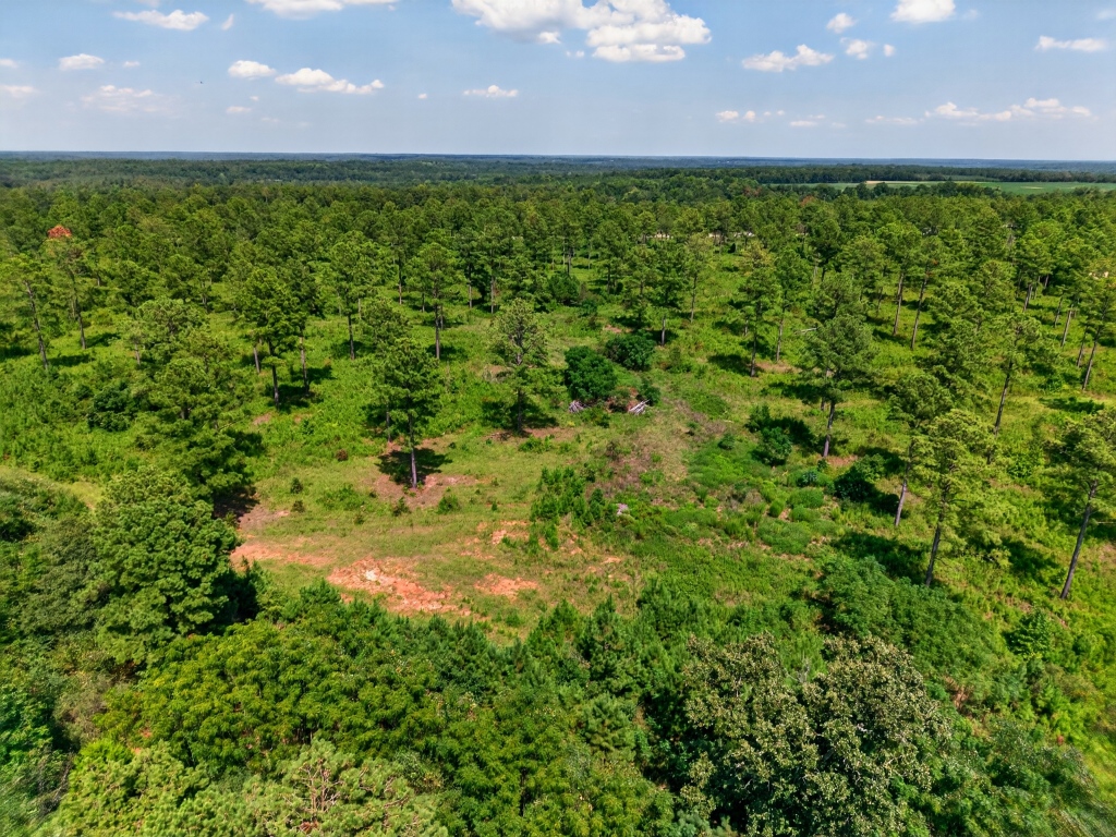 Marion Pines Tract B Photo