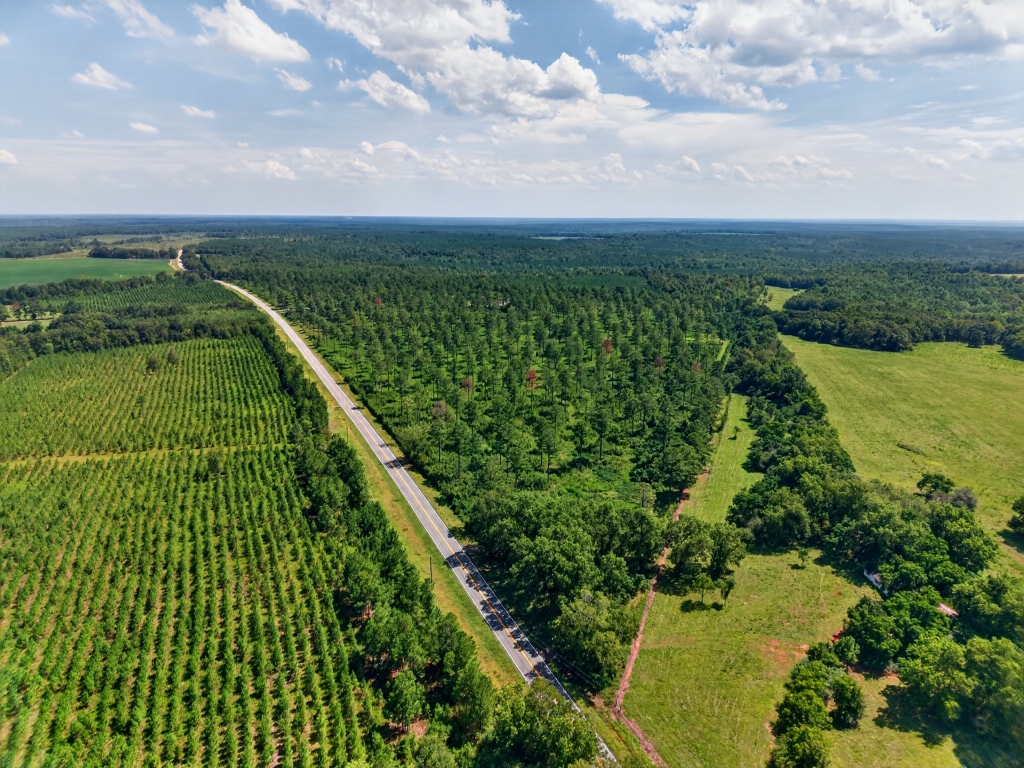 Marion Pines Tract B Photo