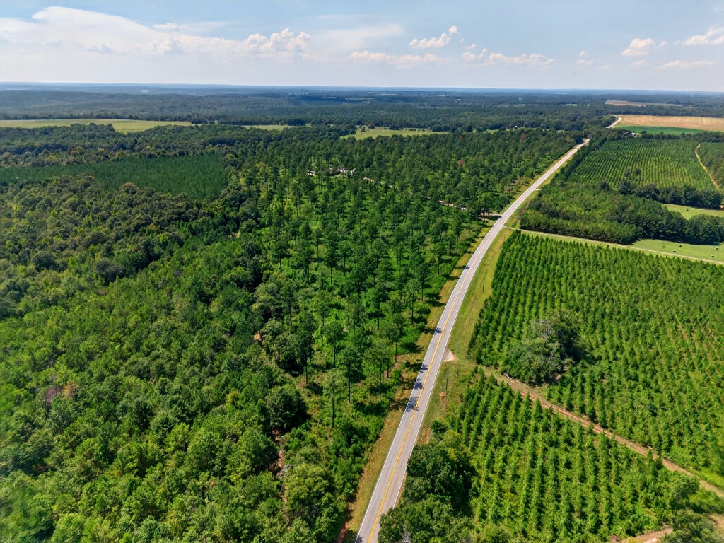 Marion Pines Tract C Photo