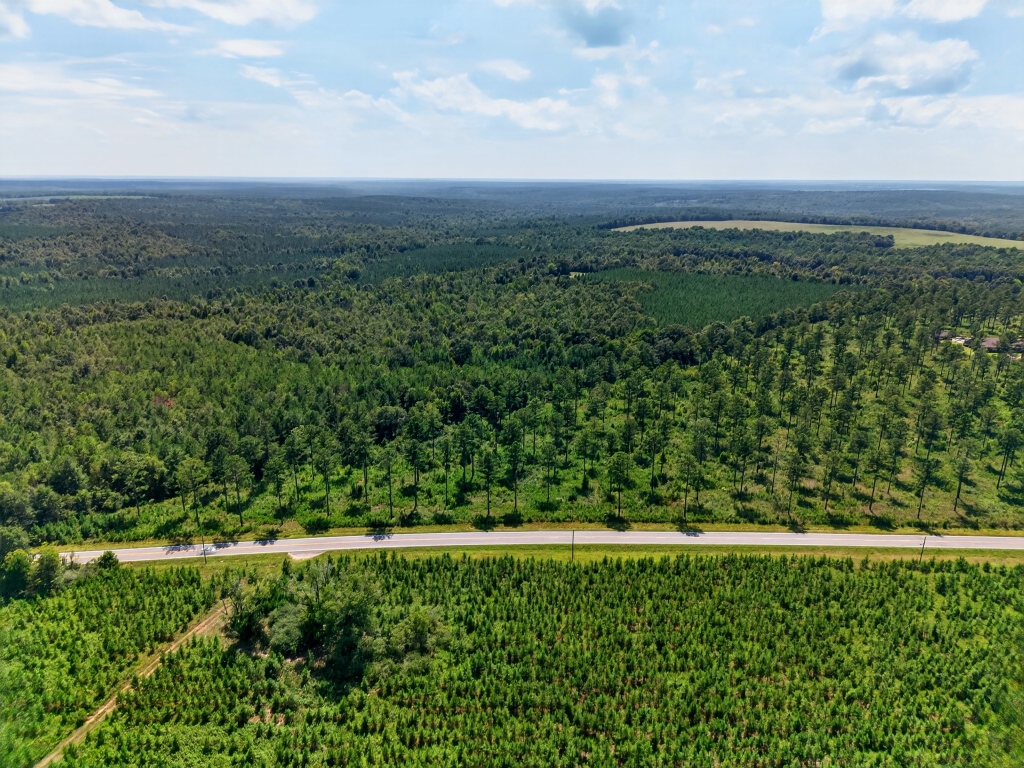 Marion Pines Tract C Photo