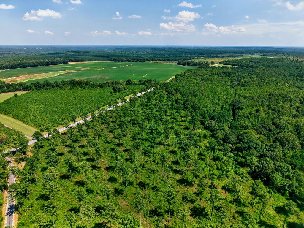 Marion Pines Tract C Photo
