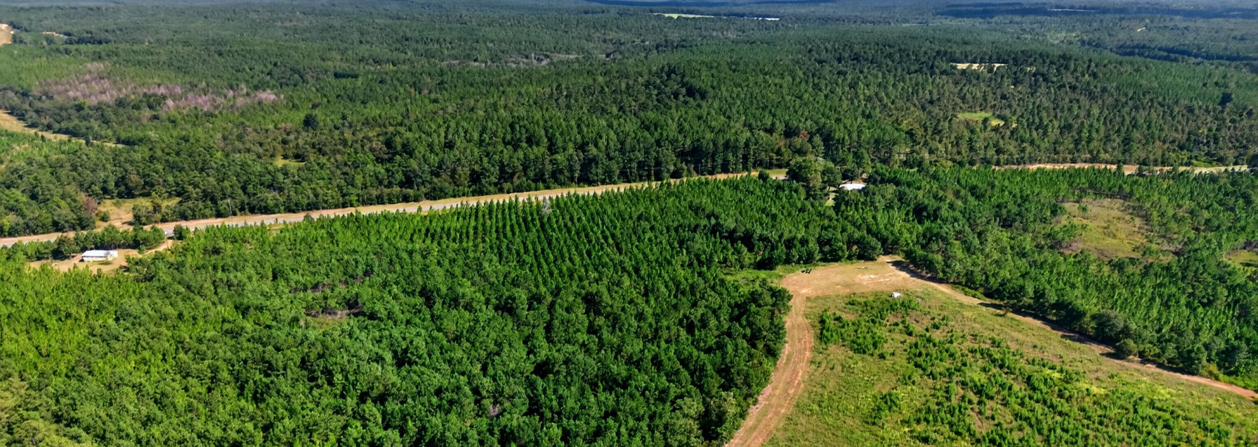 Fall Line Longleaf & Home Main Photo