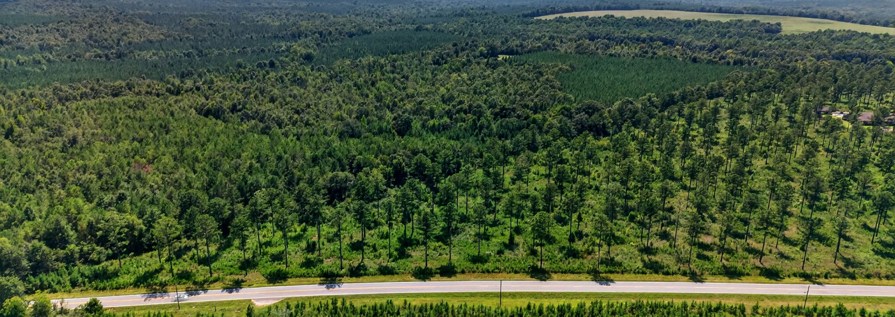 Marion Pines Tract B Main Photo