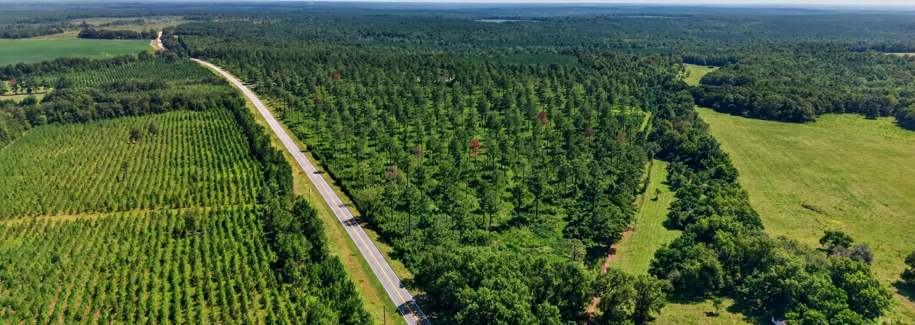 Marion Pines Tract C Main Photo
