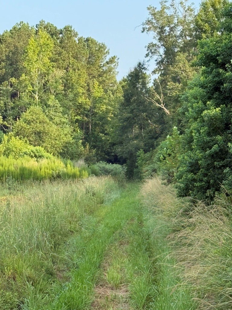 Rocky Creek Preserve Photo