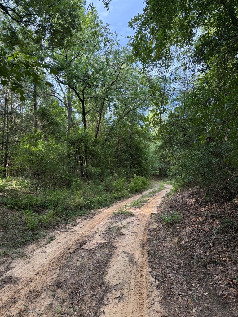 Liberty Church Road Retreat Photo