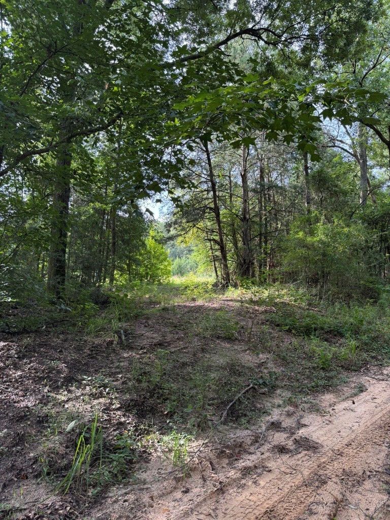 Liberty Church Road Retreat Photo
