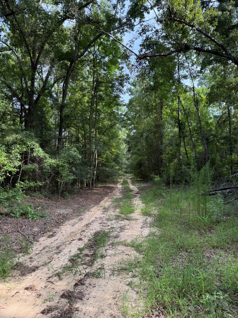 Liberty Church Road Retreat Photo