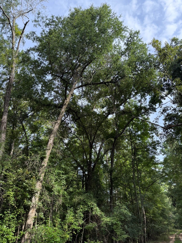 Liberty Church Road Retreat Photo