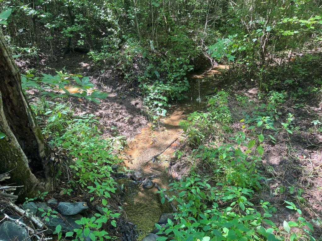 Reedy Creek Homeplace Photo