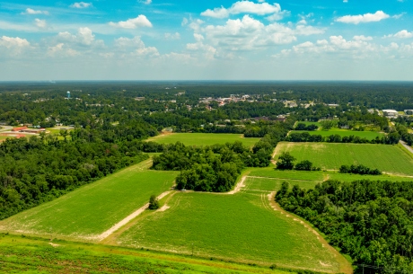 Reedy Creek Homeplace