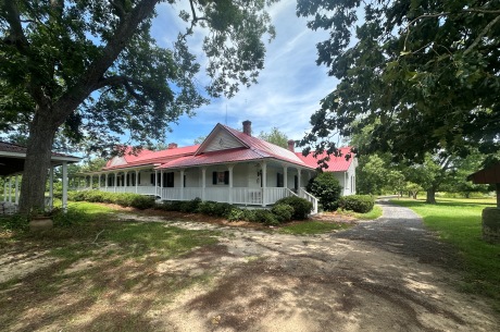 Cottontop Plantation
