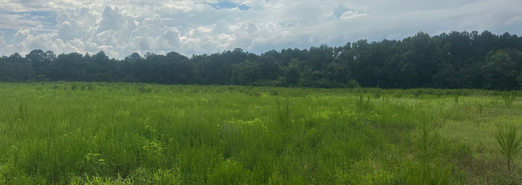 Joyner Oglesby Road Main Photo
