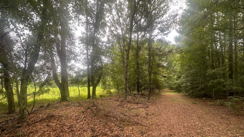 Joyner Oglesby Road Photo