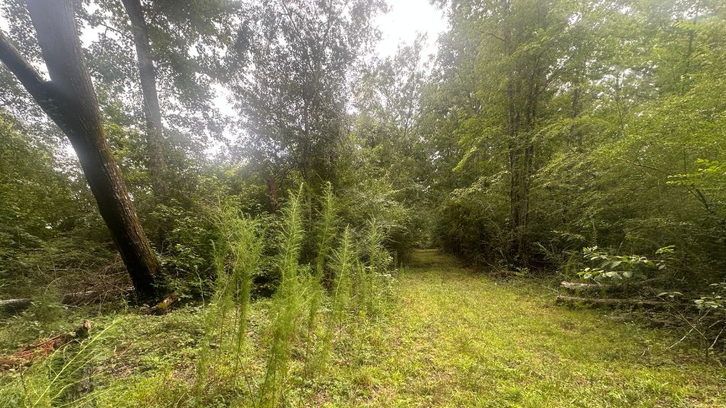 Joyner Oglesby Road Photo