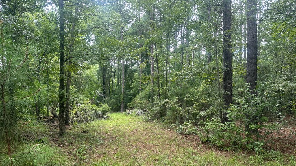 Joyner Oglesby Road Photo