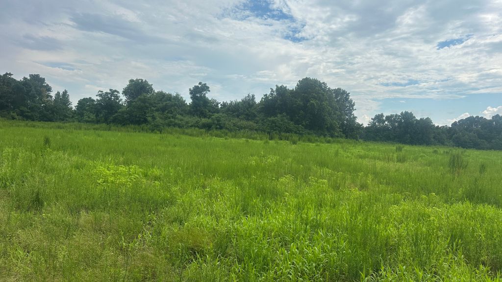 Joyner Oglesby Road Photo