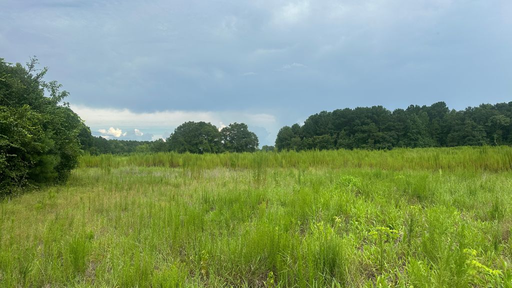 Joyner Oglesby Road Photo