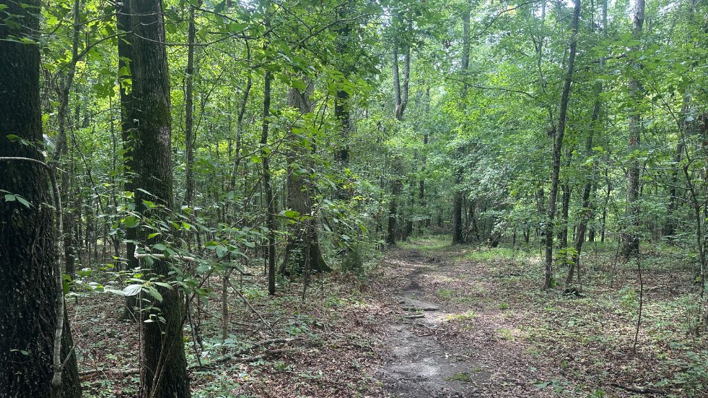 Joyner Oglesby Road Photo