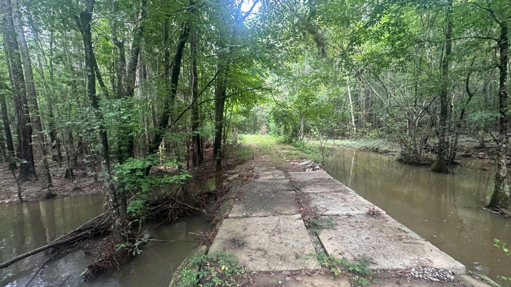 Joyner Oglesby Road Photo