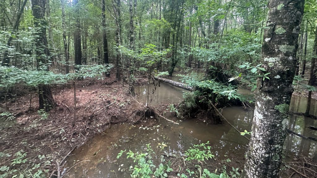 Joyner Oglesby Road Photo