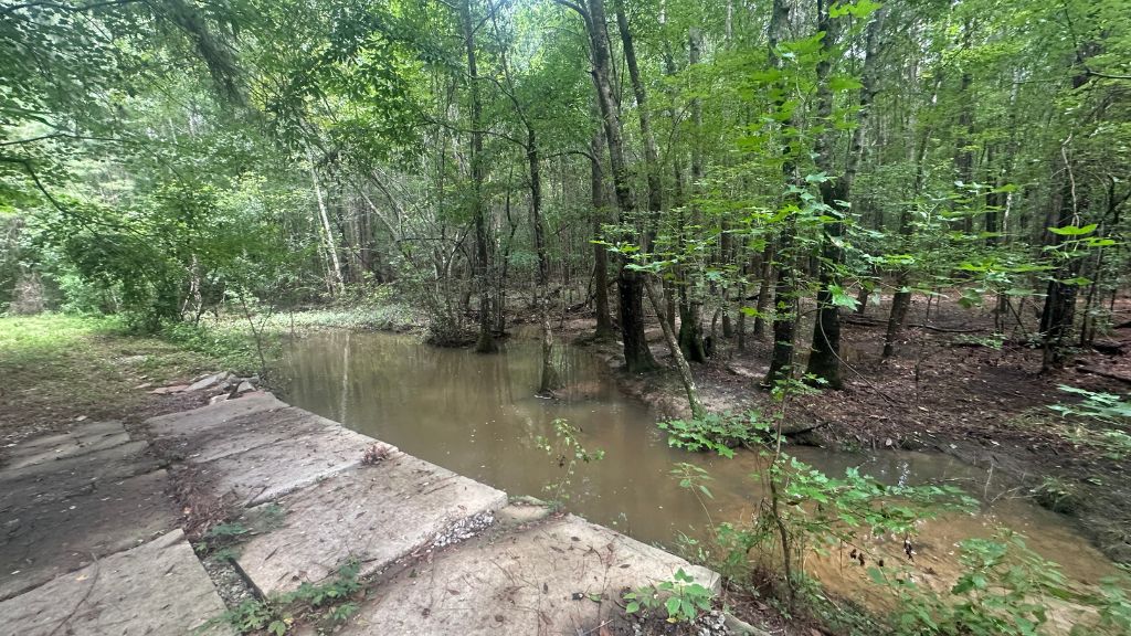 Joyner Oglesby Road Photo