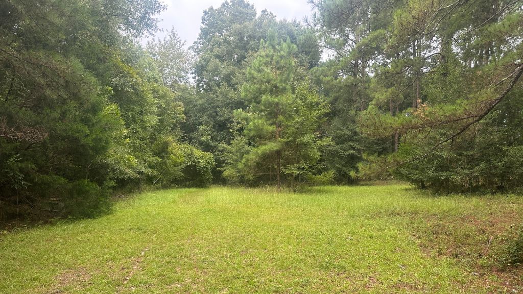 Joyner Oglesby Road Photo