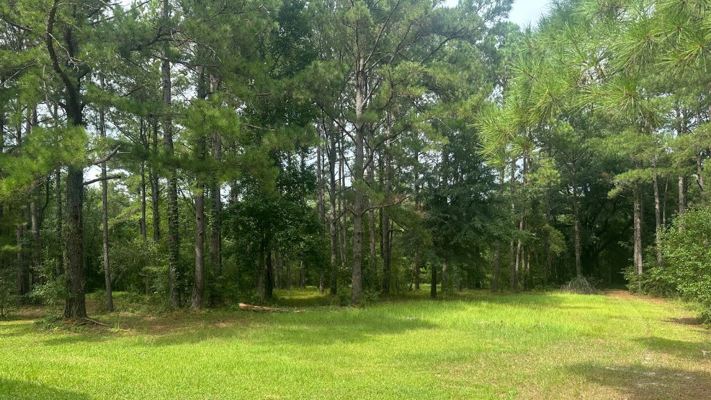 Joyner Oglesby Road Photo