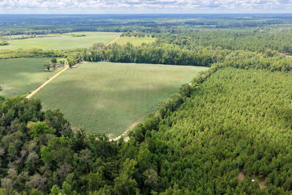 Hendrix Farm Photo