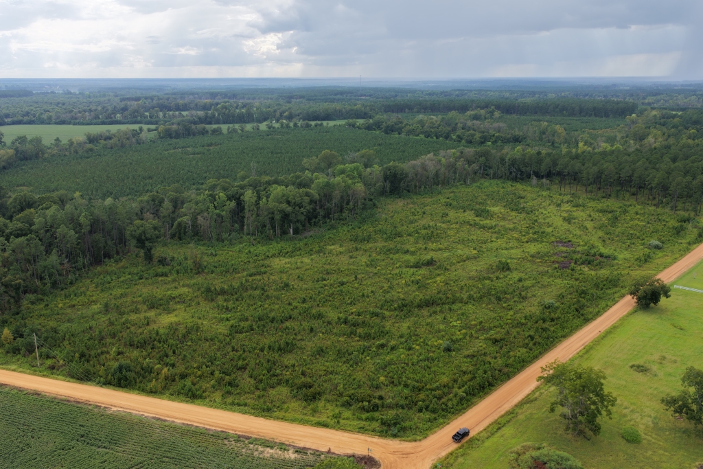 Hendricks Timber Photo