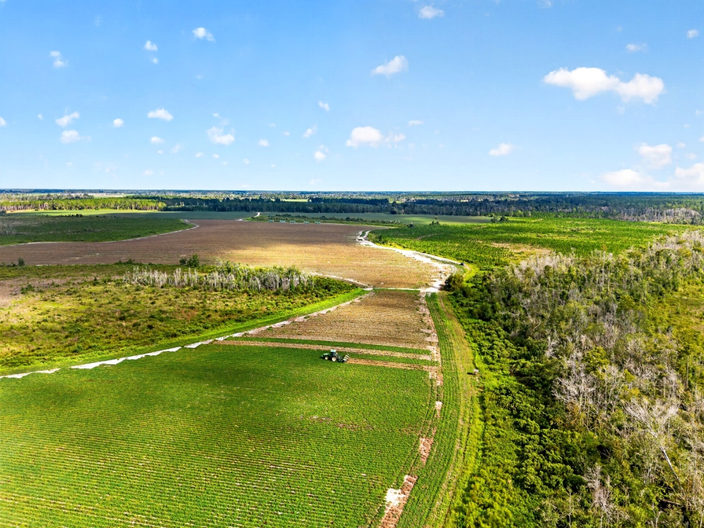 Hog Creek Farm Photo