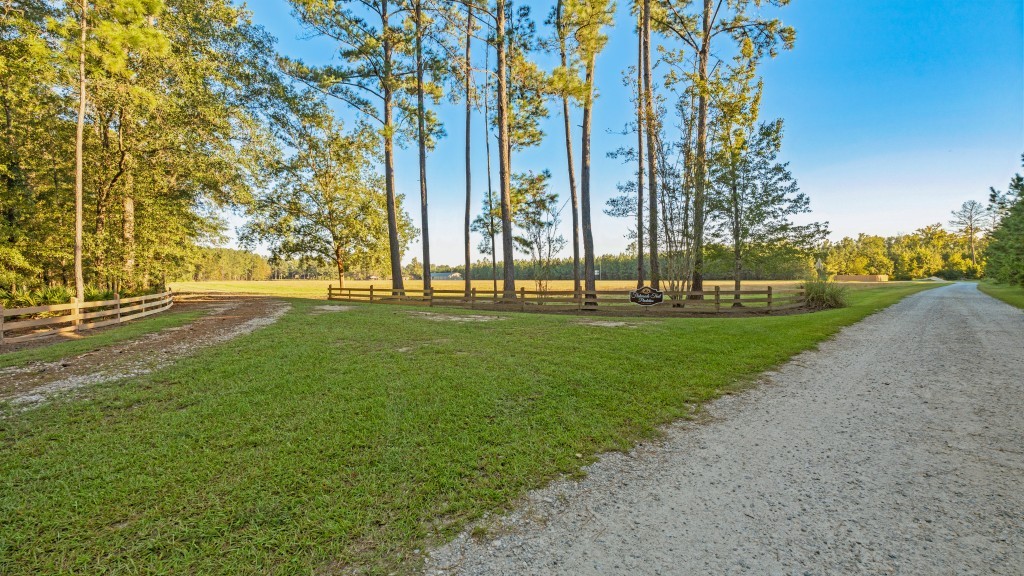 Flatwoods Trail Plantation Photo
